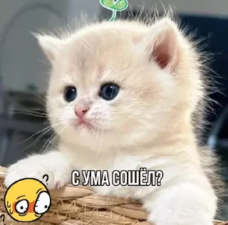 🤯