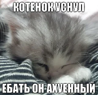 🛌