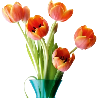 💐