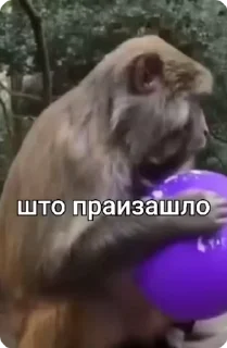 ⁉️