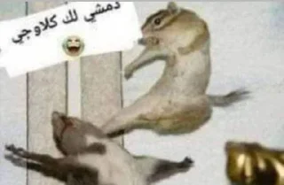 😂