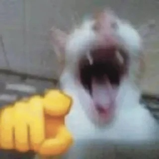 🫵