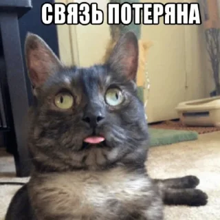 😶