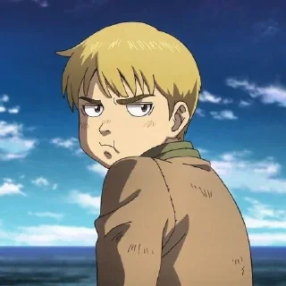 🌟