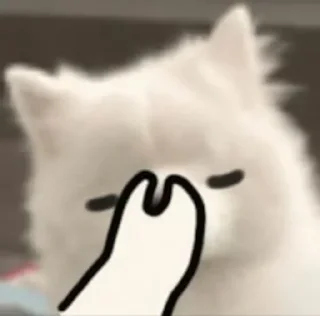 🤦