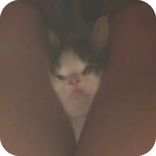 🫥