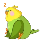 😴