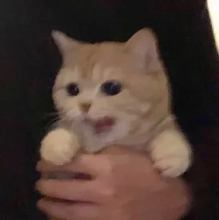 😳