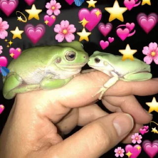 💕
