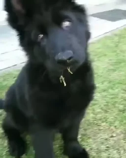 🤨