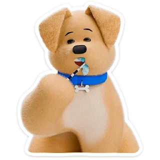 🐶