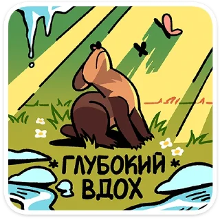 ⭐
