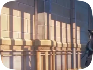 🌟