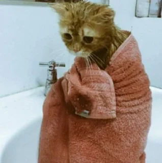 🧶