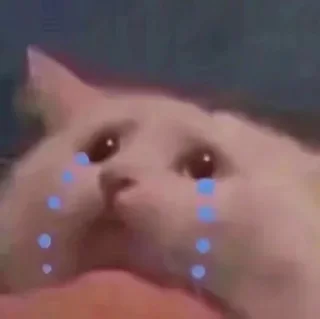 😭