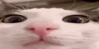 🤨