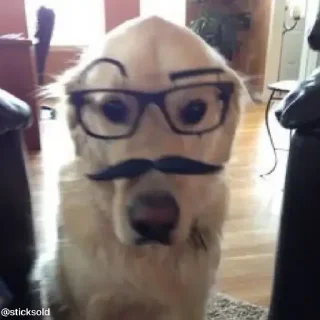 😎
