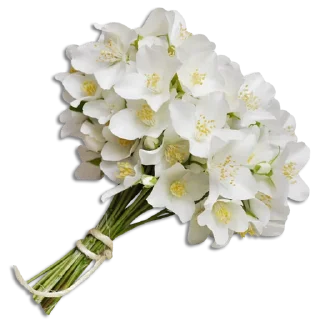 💐