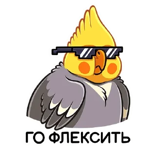 😎