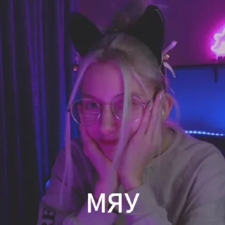 🐱