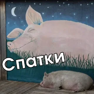 😪