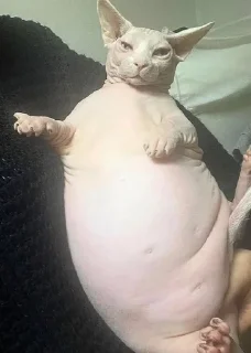 🤨