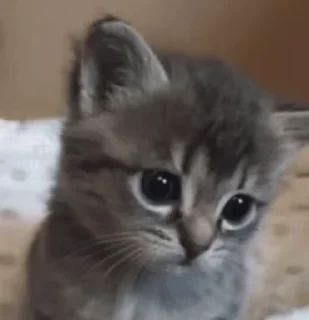 😕