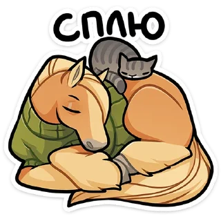 😴