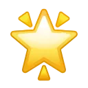 🌟
