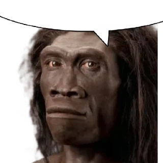 🐵