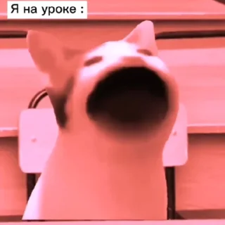 😮