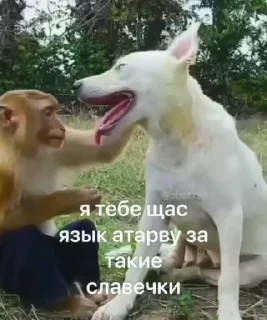 😱