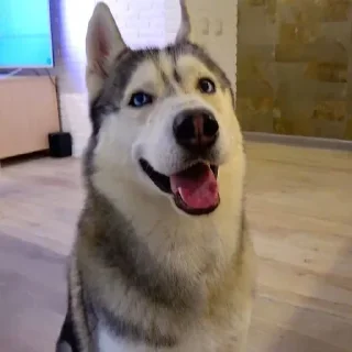 🌟