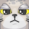 Manul_nsk