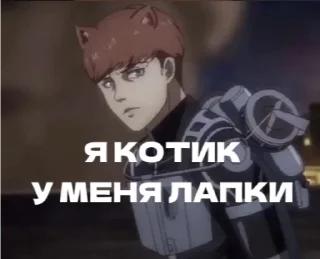 😼