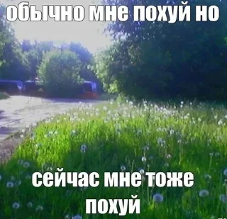 🧂