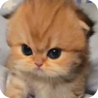🫥