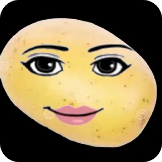 PotatoRobloksOmg :: @fStikBot