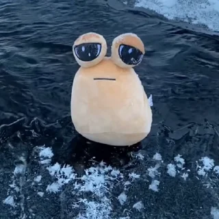 🌊