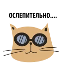 😎