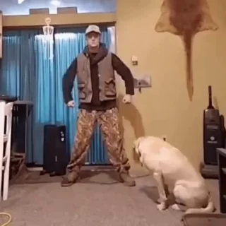 🕺