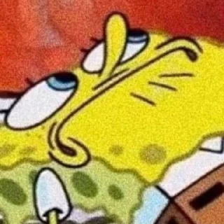 🧽