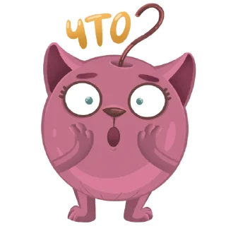 🙀
