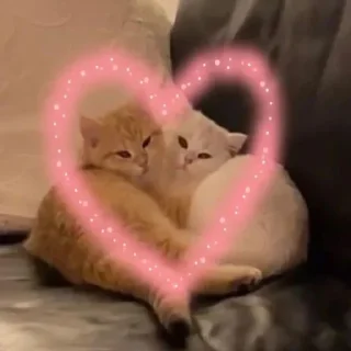 ❤️