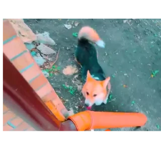 👍