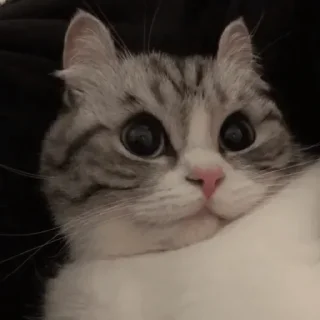 😩