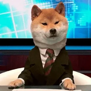 🐶