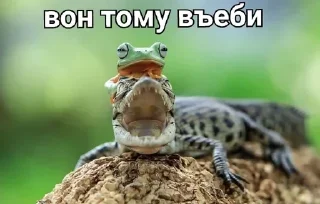 👉