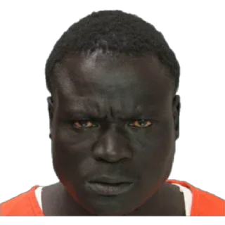 🦍