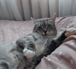 🙂